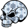 Skull Snow Image